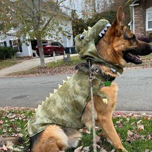 Large Dog Costume Halloween Dog dinosaur